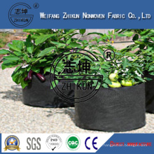 PP Non Woven for Plant Cover